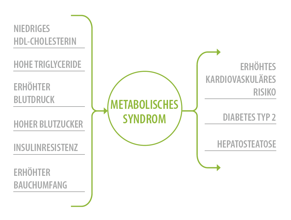 Metabolisches Syndrom