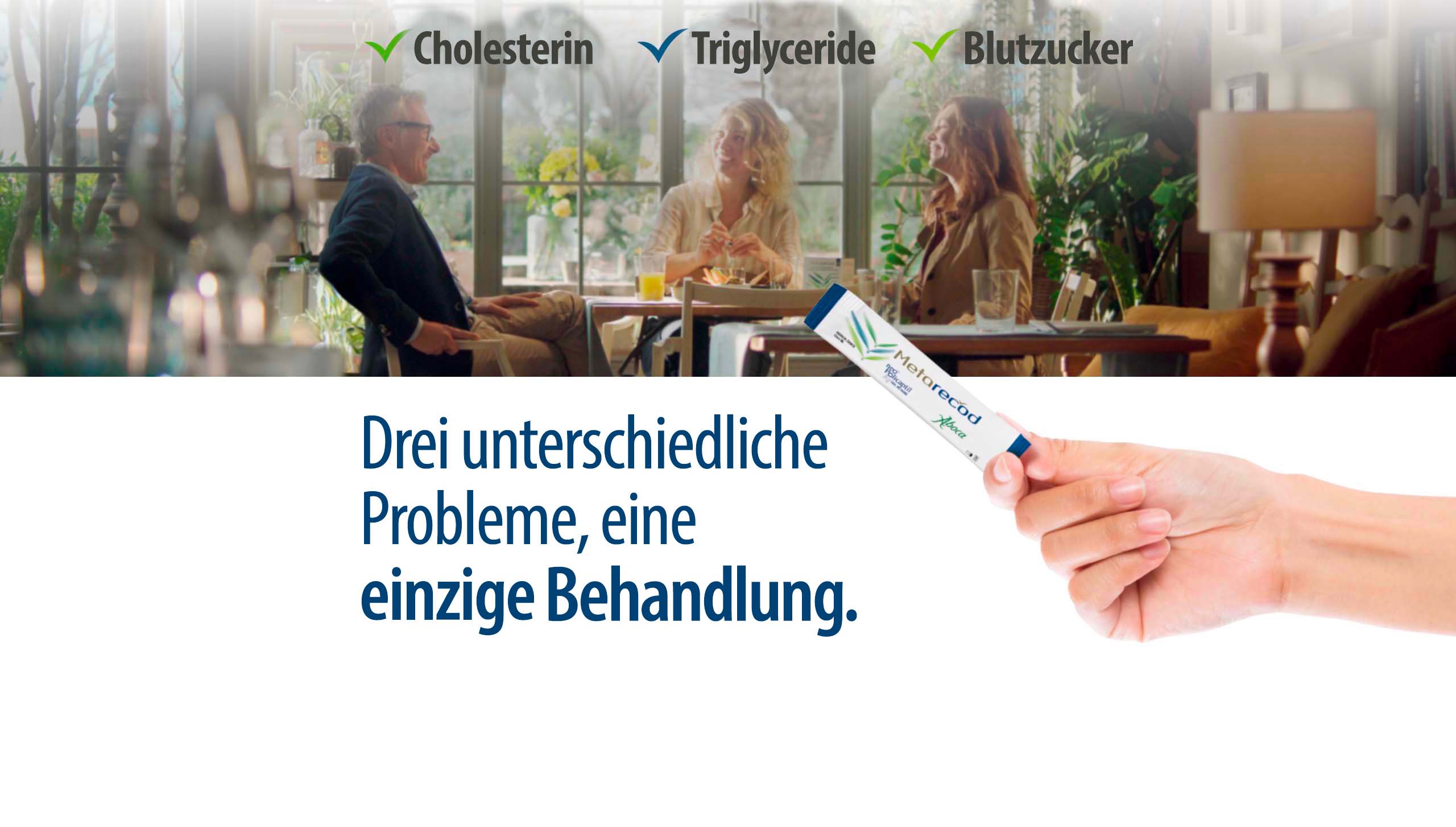 Main Slide Metarecod DE